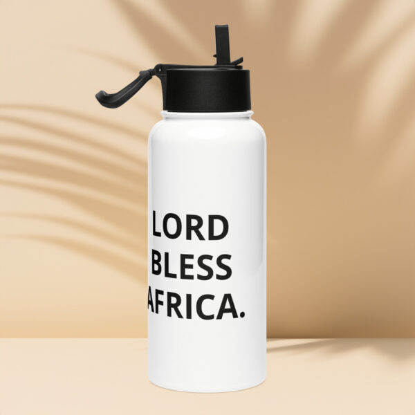 Stainless steel water bottle with a straw lid
